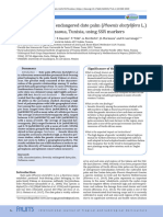 Genetic Diversity of Endangered Date Palm (Phoenix Dactylifera L.) in The Oases of Nefzaoua, Tunisia, Using SSR Markers