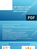 Vias de Propagacion de La Infeccion Odontogena