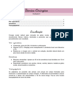 Resumo Tecnica Cirúrgica AV2 PDF