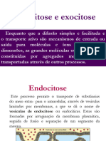 Biologi Fagocitose e Endocitose - 2021