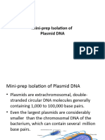 Mini-Prep Isolation of Plasmid DNA