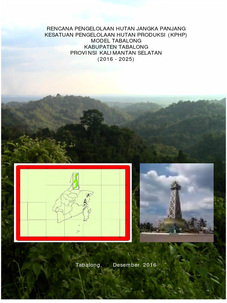 Rencana Pengelolaan Hutan Tabalong 2016-2025 | PDF | Teknologi & Rekayasa