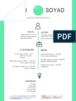 Ucretsiz CV Ornekleri Renkli CV Indir Orjinal CV Grafik Tasarimcisi