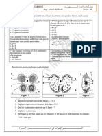 Bac Blanc-1