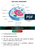 MT 30 (The Human Cell)