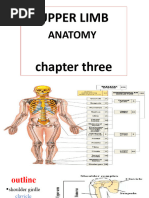 Chapter Tree Upper Limb Chapter