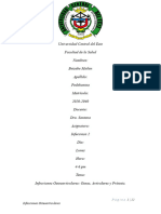 Infecciones Osteoarticulares