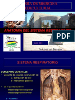 Anatomia SR