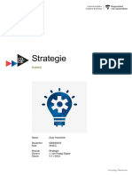 CC14Z35N Strategie 304 ZoeyHamelink PDF