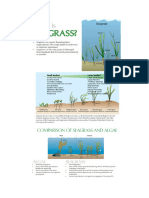 Reviewer For Seagrass