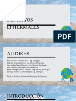 Depositos Epitermales