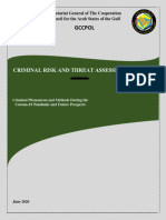 Criminal Threat and Risk Assessment