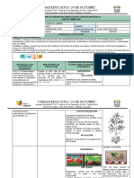 Plan Micro CCNN 3er Trimestre