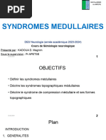 Comprendre le Syndrome Pyramidal | PDF | Nerf | Maladies et troubles