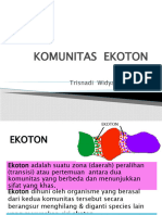 EKOTON