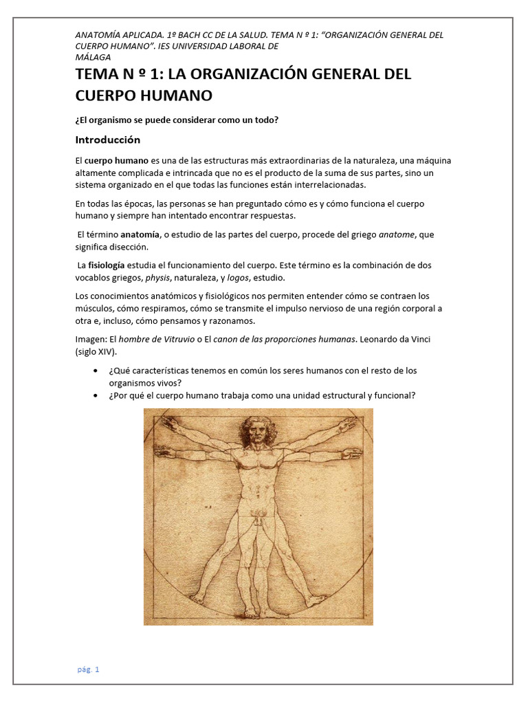 Anat Aplic T 1 La Organ General Cuerpo Humano | PDF | Epitelio ...