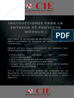 Instrucciones Proyecto Modulo 1