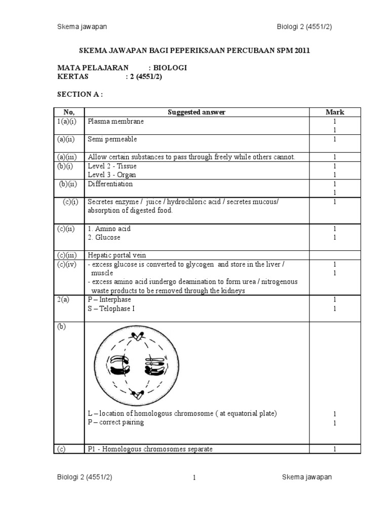 Skema Jawapan Percubaan Spm 2019 Addmath  Skema Jawapan Percubaan Spm 2019 Addmath