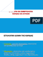 4η ΔΙΑΛΕΞΗ - ΚΑΡΔΙΑ ΙΣΤΟΛΟΓΙΑ ΚΑΙ ΕΜΒΡΥΟΛΟΓΙΑ