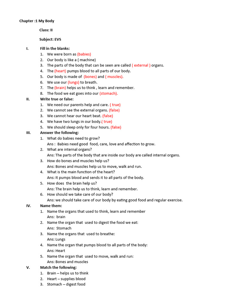 2 Evs Download Free Pdf Human Body Heart