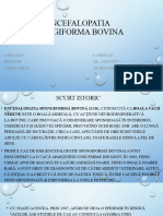 Encefalopatia Spongiformă Bovină (ESB)