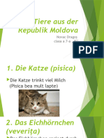 Tiere Aus Der Republik Moldova1