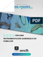 Programa Diploma Instrumentación QX 480 HRS