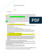 Descripción de La Célula Eucariota y Sus Organelos