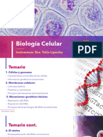 LCG BioCel 2022 - Introducción Al Curso