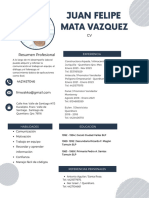 CurriculumVitae MataVazquezJuanFelipe