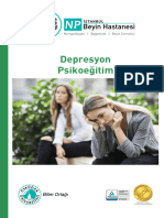 Depresyon Psikoeğitim: Nöropsikiyatri - Bağımlılık - Beyin Cerrahisi