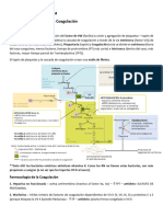 7 Hematología - Oncología