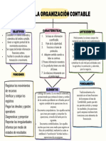 Bases Organización Contable