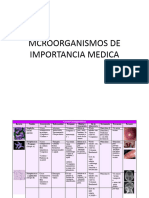 Temas Examen Final MIP-133 (1)