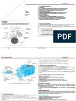 Chapitre VI Système Endomembranaire Converti