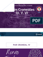 Pares Craneales 4,5,6-1