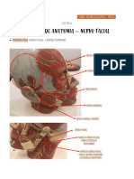 1# Nervo Facial - Praì Tica