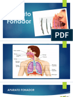 Aparato Fonador