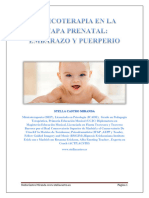 Musicoterapia en La Etapa Prenatal - Embarazo y Puerperio