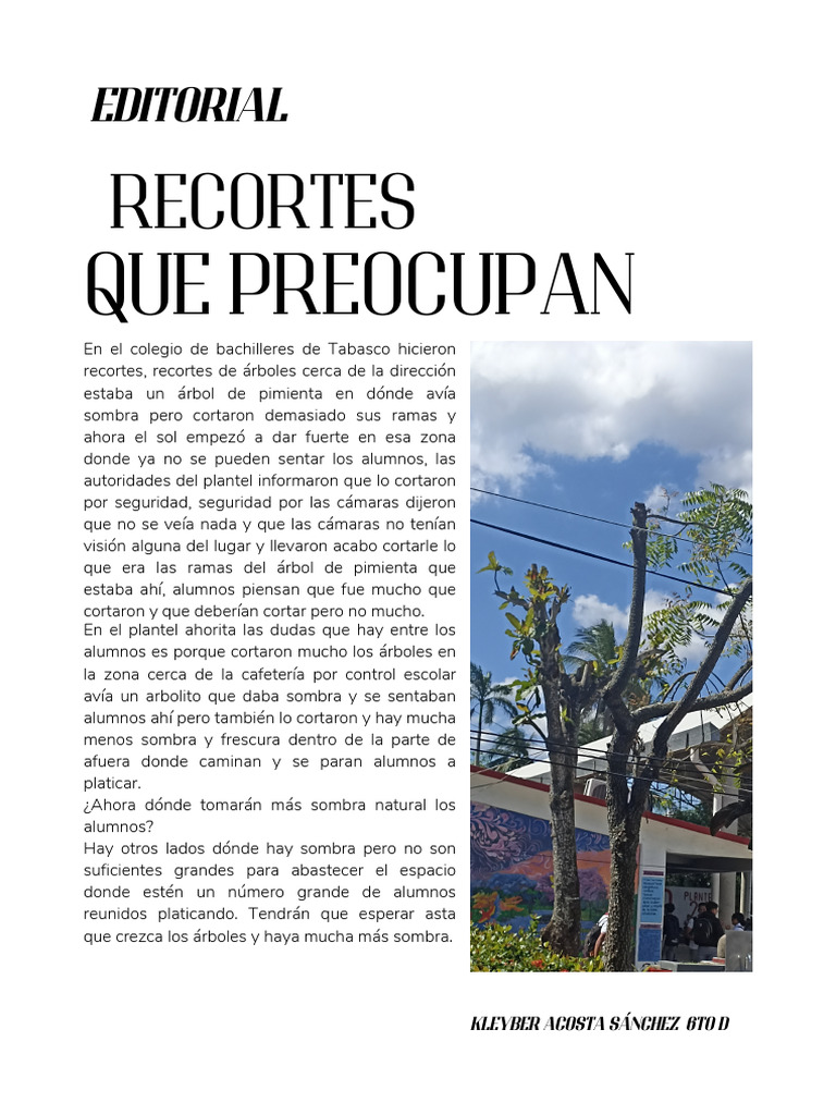 Ejemplo de Editorial Kleyber - 20240221 - 190816 - 0000 | PDF