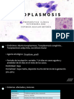 Toxoplasmosis Espinoza Aguilar Antonio 2604