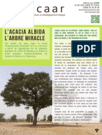 L'acacia L'arbre Miracle