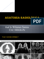 Anatomia Radiologica Essencial