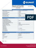 Reporte Electrónico de Ficha RUC