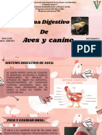 Sistema Digestivo Aves y Canino - 20240123 - 165303 - 0000