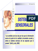 8.sistemas Sensoriales