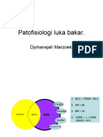 Patofisiologi Luka Bakar