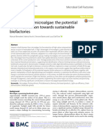 Biomass From Microalgae: The Potential of Domestication Towards Sustainable Biofactories