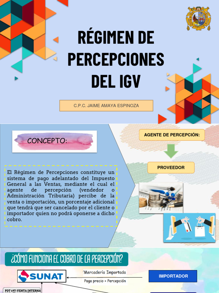 Régimen de Percepciones | PDF | Factura | Business