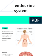 El Sistema Endocrino